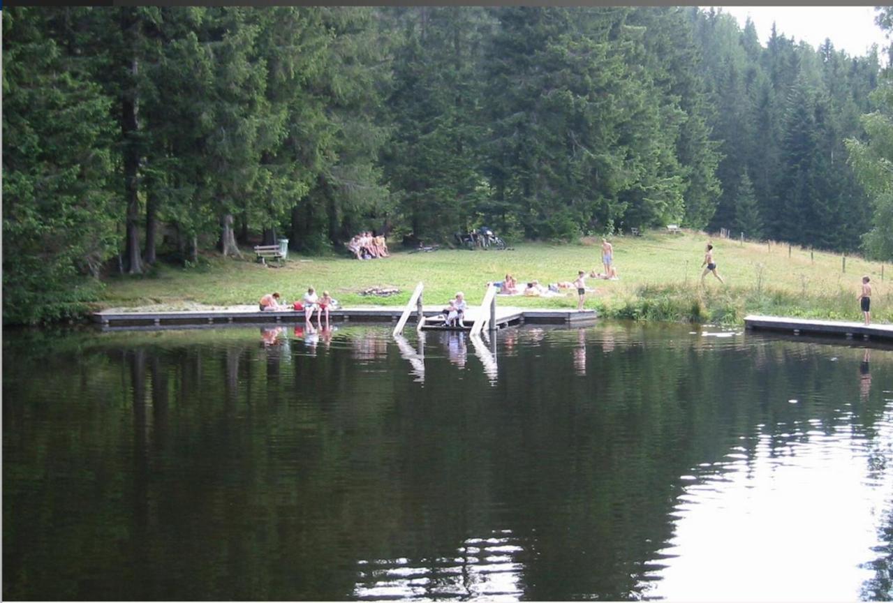 Chalet Anno 1794 Rettenegg Luaran gambar